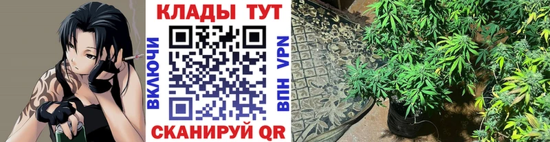 Купить закладку Кировск КЕТАМИН  Бутират  Меф мяу мяу  Канабис  КОКАИН  Гашиш 