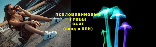 mdpv Новодвинск