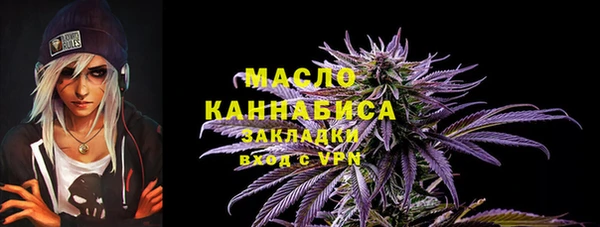 дживик Переславль-Залесский