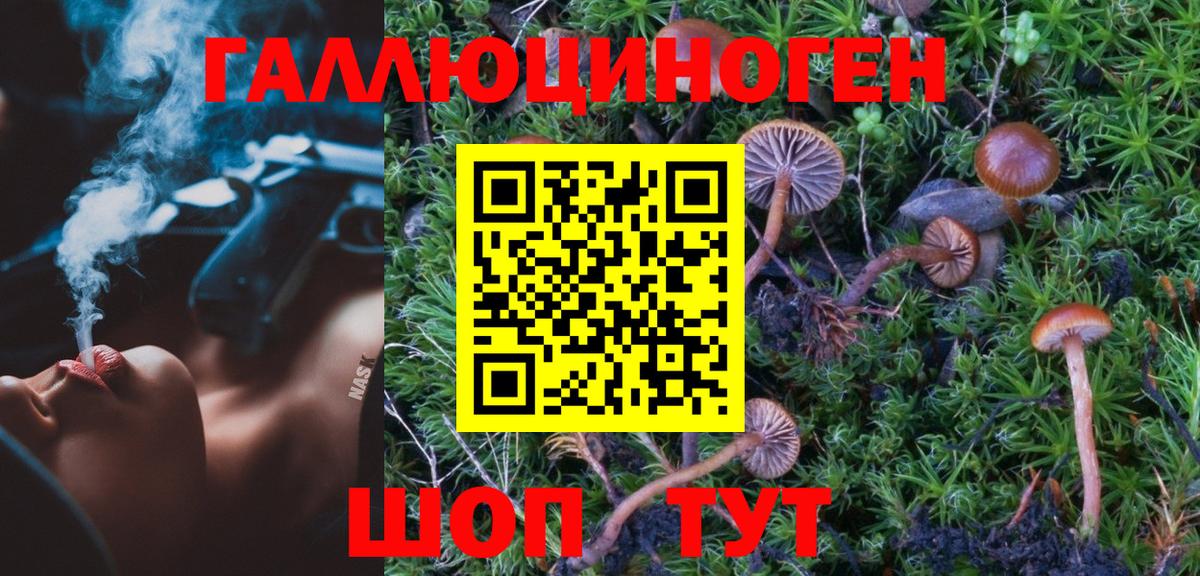 Галлюциногенные грибы GOLDEN TEACHER Кировск