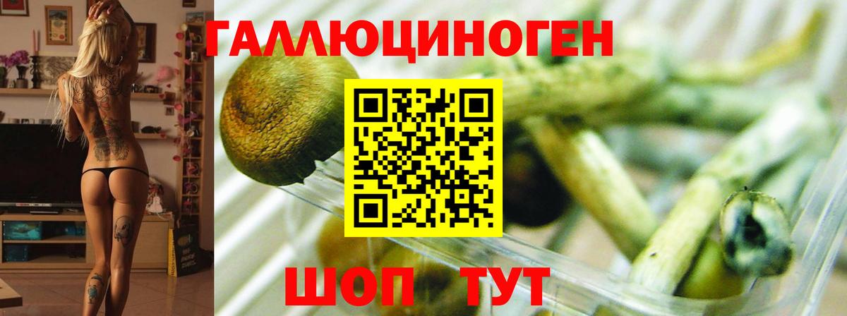Псилоцибиновые грибы прущие грибы  Вход с VPN  закладки  Кировск 