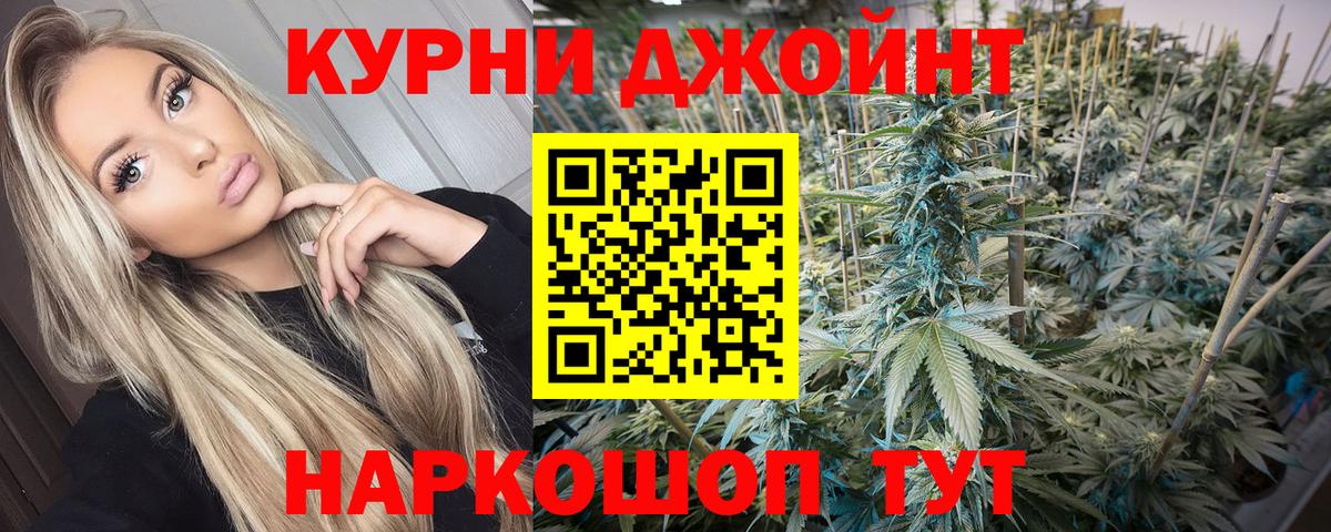 Бошки Шишки план  Конопля THC 21%  Кировск  Марихуана OG Kush  Вход с VPN  Каннабис сатива 